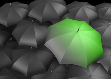 The Provision Trust